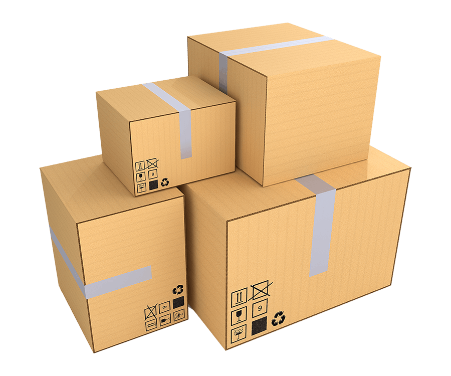 First Vector Graphic